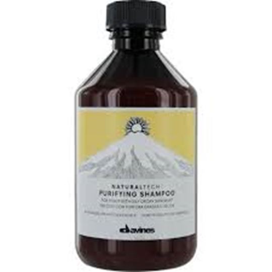 Picture of DAVINES PURIFYING SHAMPOO 250ML